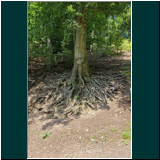 P1000699WhatsApp Image 2024-06-13 at 07.44.44(2).jpg